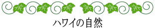 ハワイの神話と伝説～神話伝説ライブラリー～ハワイの自然