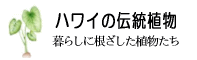 ハワイの伝統植物