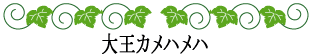 ハワイの神話と伝説～ハワイ王朝～大王カメハメハ