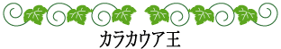 ハワイの神話と伝説～ハワイ王朝～カラカウア王