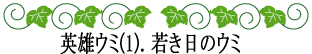 ハワイの神話と伝説～英雄ウミ～若き日のウミ